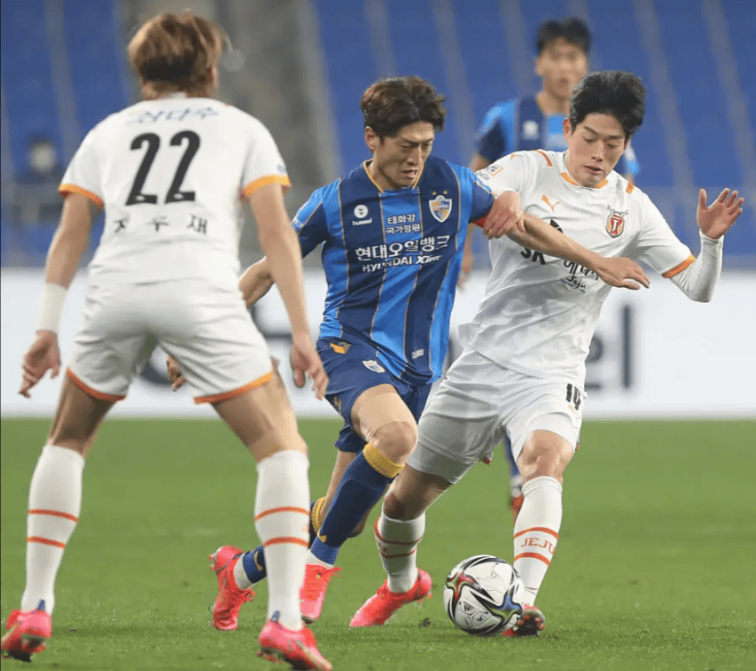 2024年社区盾杯-华体会全站